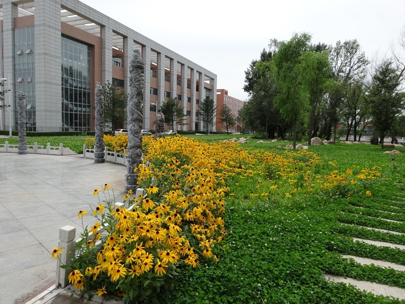 长春中医药大学，时光中的诗意校园风景